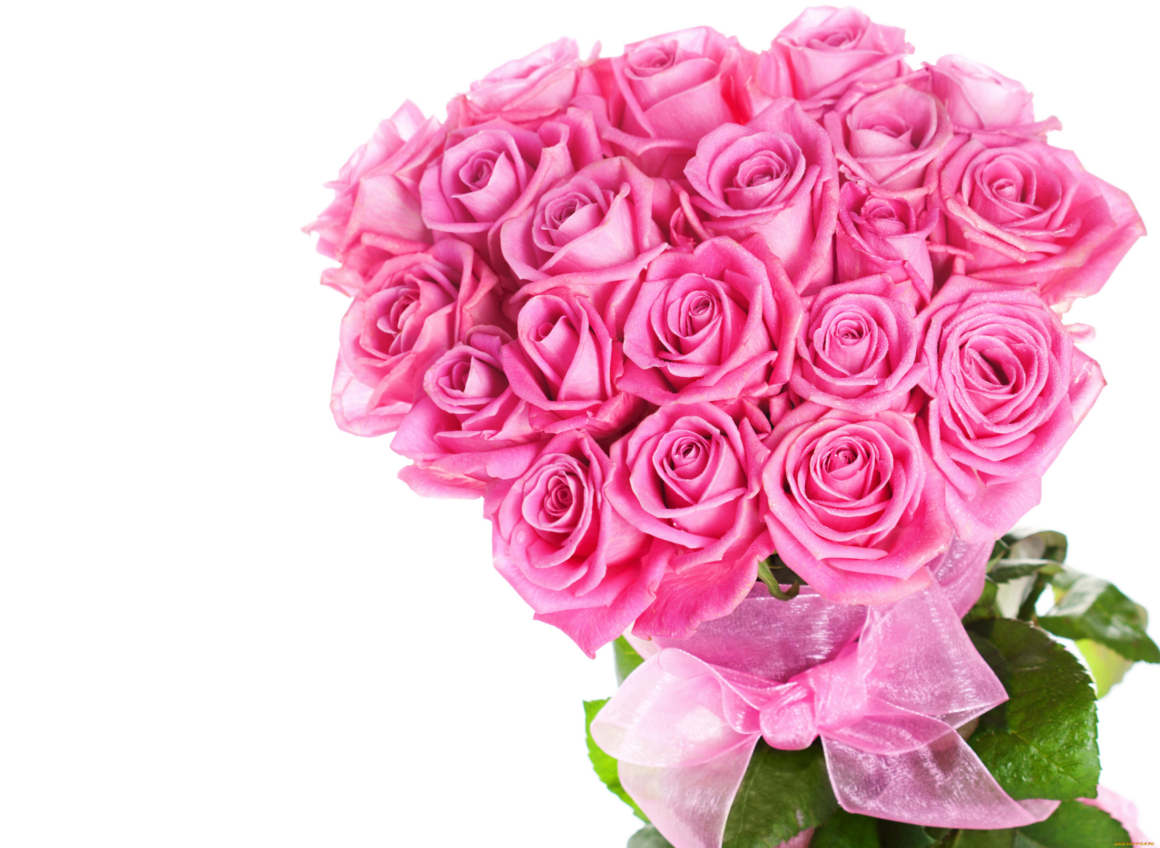 розовые розы картинки букеты большие и красивые